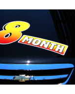 Gigantic Stick On Vinyl Slogans - Easy Apply & Reusable
