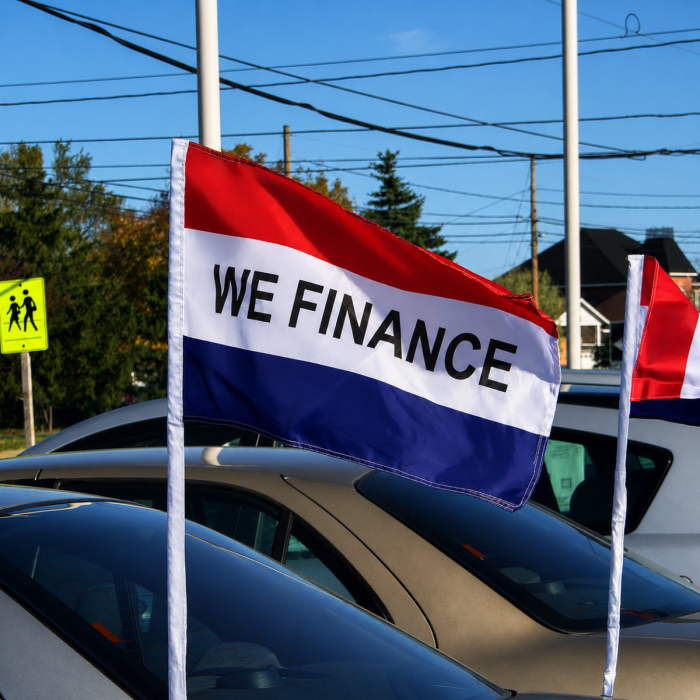 We Finance | Antenna Car Flags 