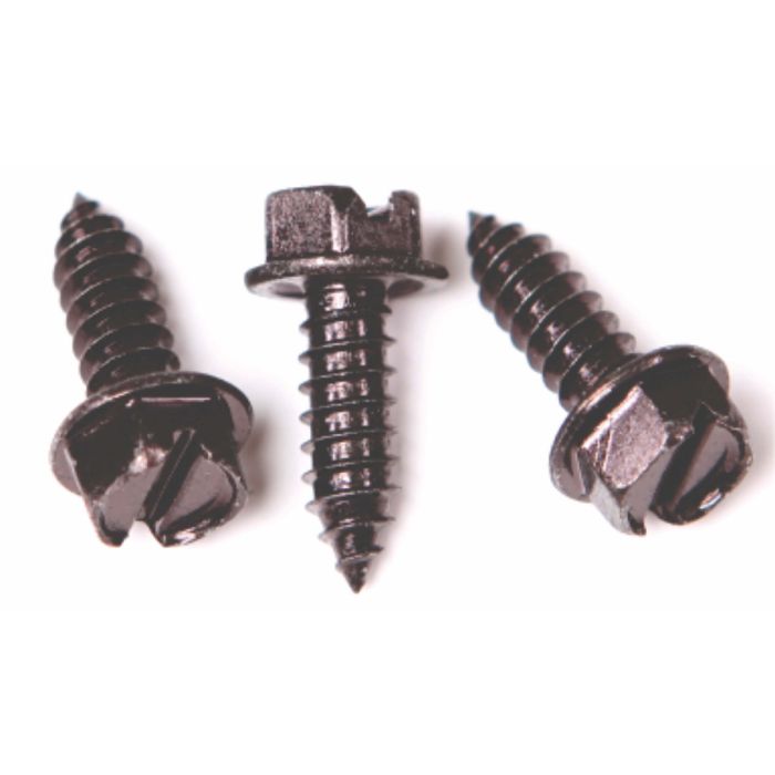 Licence Plate Screws - Slotted Hex (Black)