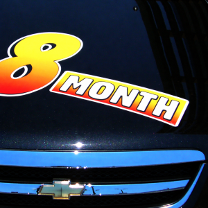 Gigantic Stick On Vinyl Slogans - Easy Apply & Reusable