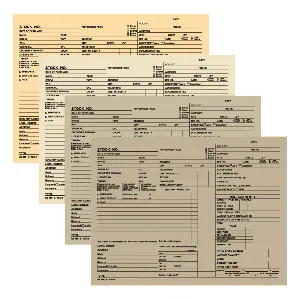 Vehicle Record Envelopes