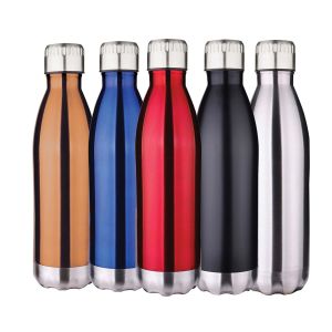 17oz Vacuum Insulated Bottle