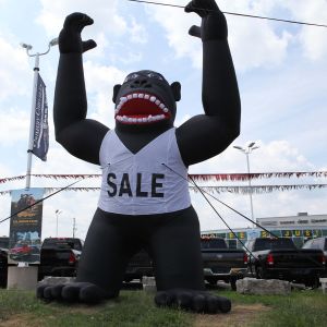 Gorilla Sign Shirt